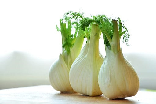 Fenchel Pferd getrocknet