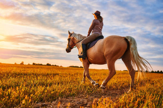 Pferd hustet ab und zu