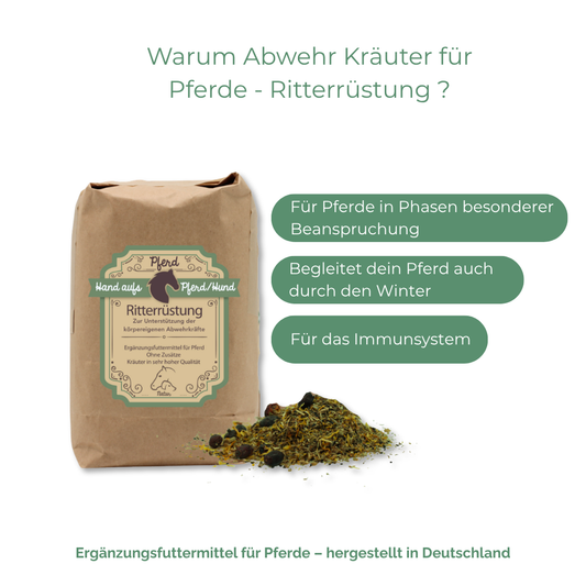 Stärkung Immunsystem Pferd