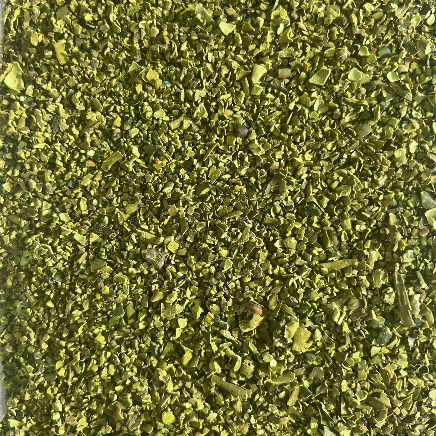 Alge Ascophyllum nosodum für Pferde & Hunde Hand aufs Pferd/Hund