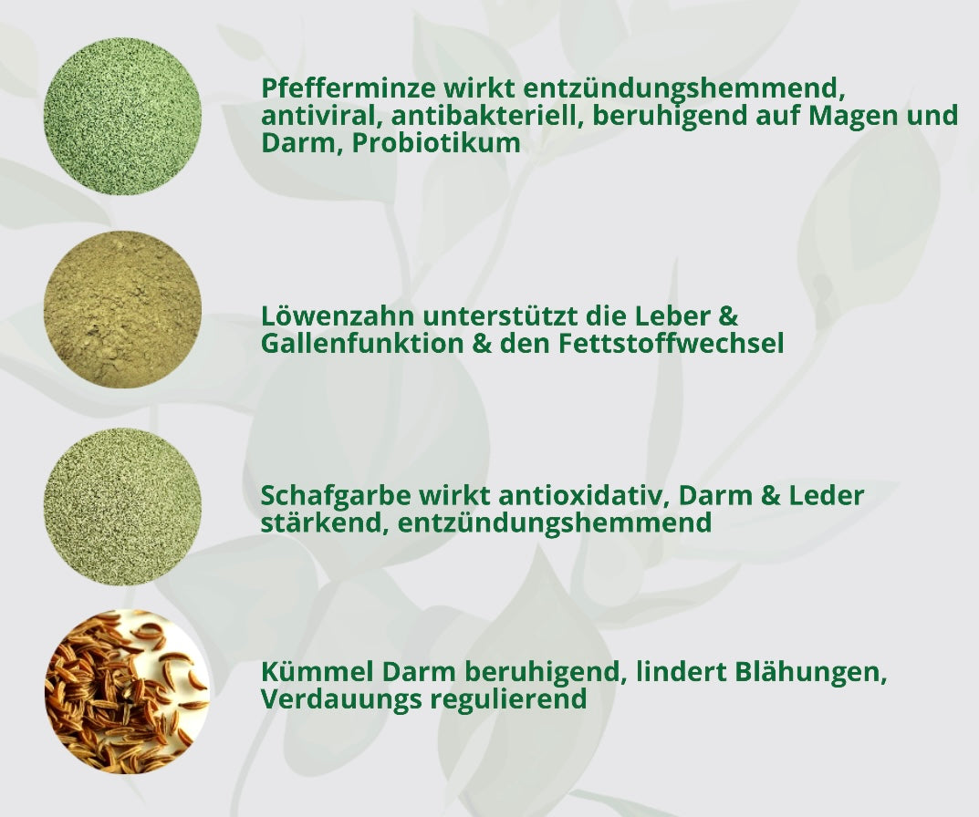 Darm Kräuter Sonnenaufgang