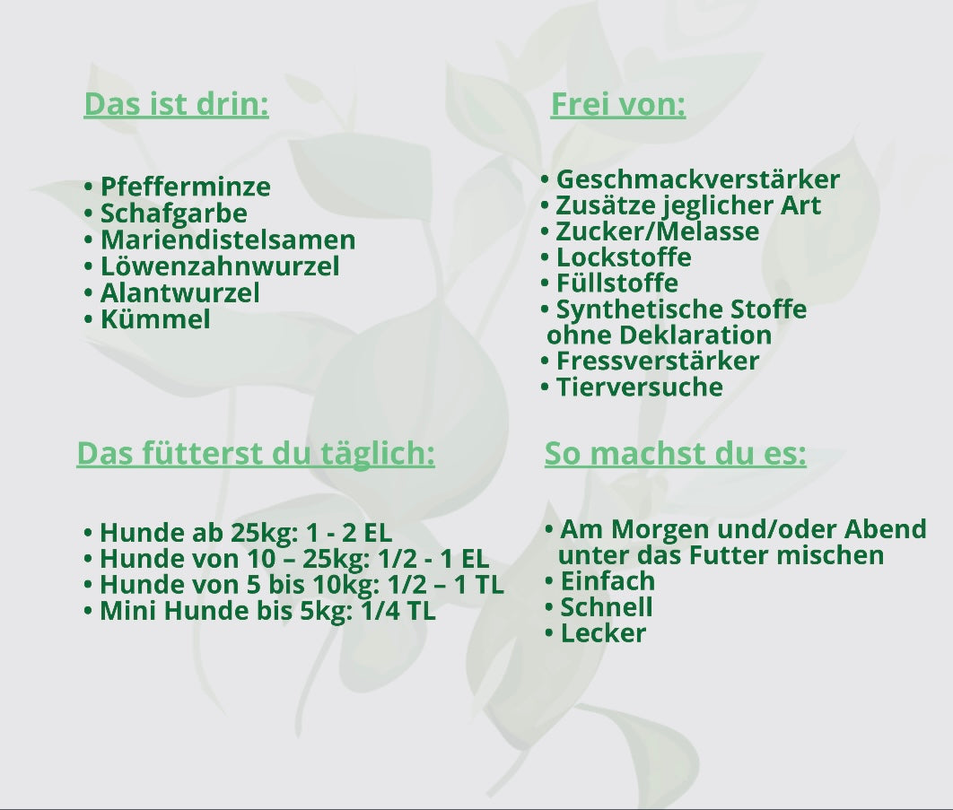 Darm Kräuter Sonnenaufgang