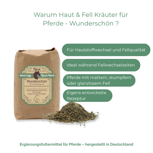 Natürliche Unterstützung für Hautbild und Fellwechsel