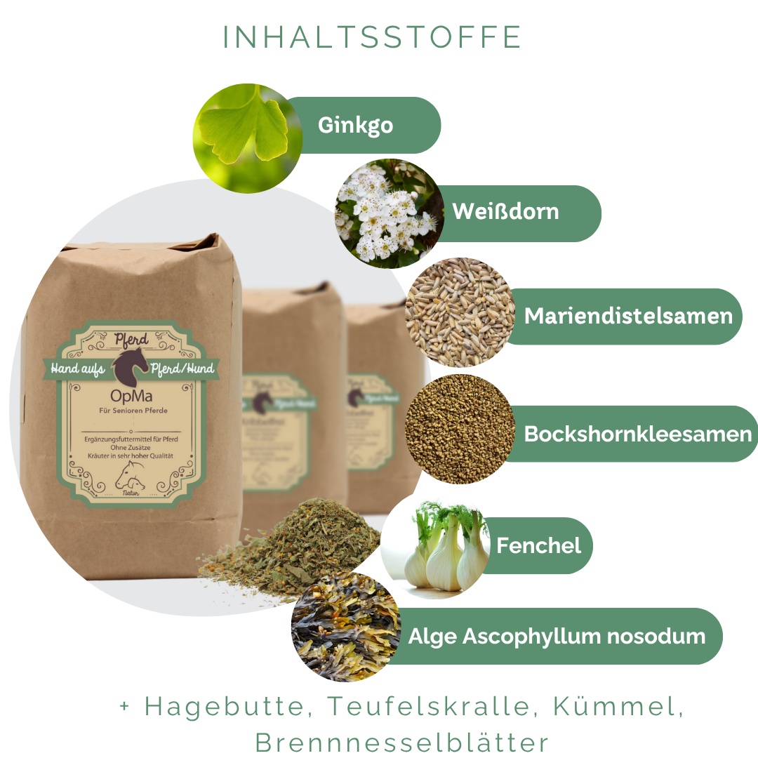 Pflanzliche Rezeptur zur natürlichen Unterstützung älterer Pferde