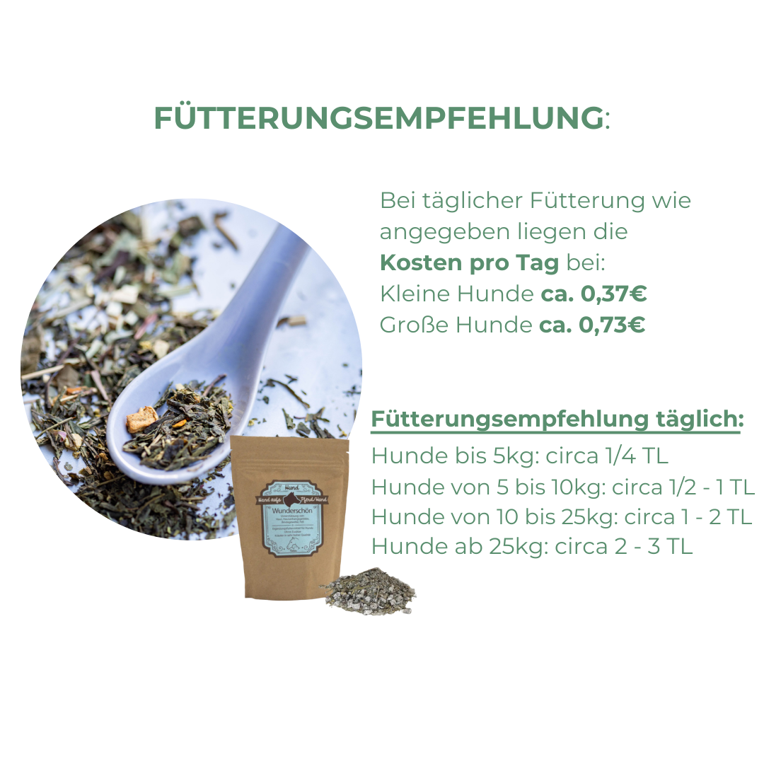 Hot Spot Hund Ursachen und welches Futter