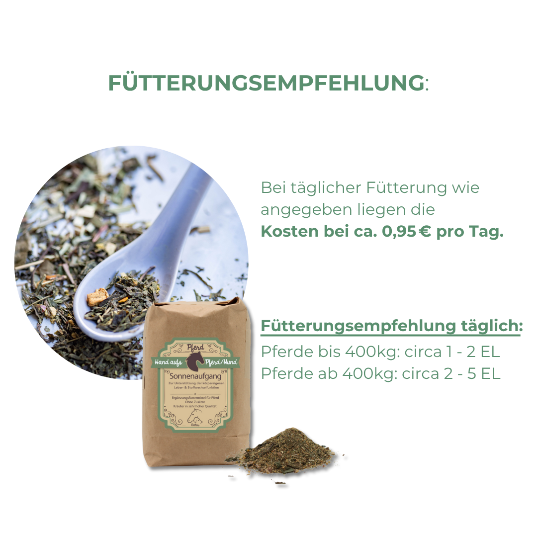 Kräutermischung für Pferde – Unterstützung von Fellwechsel