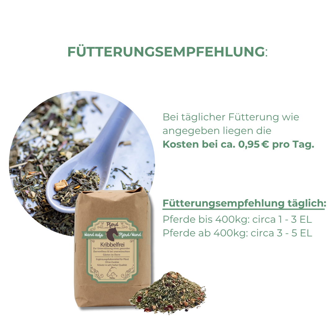Pflanzliche Wurmkur für Pferde ohne Chemie