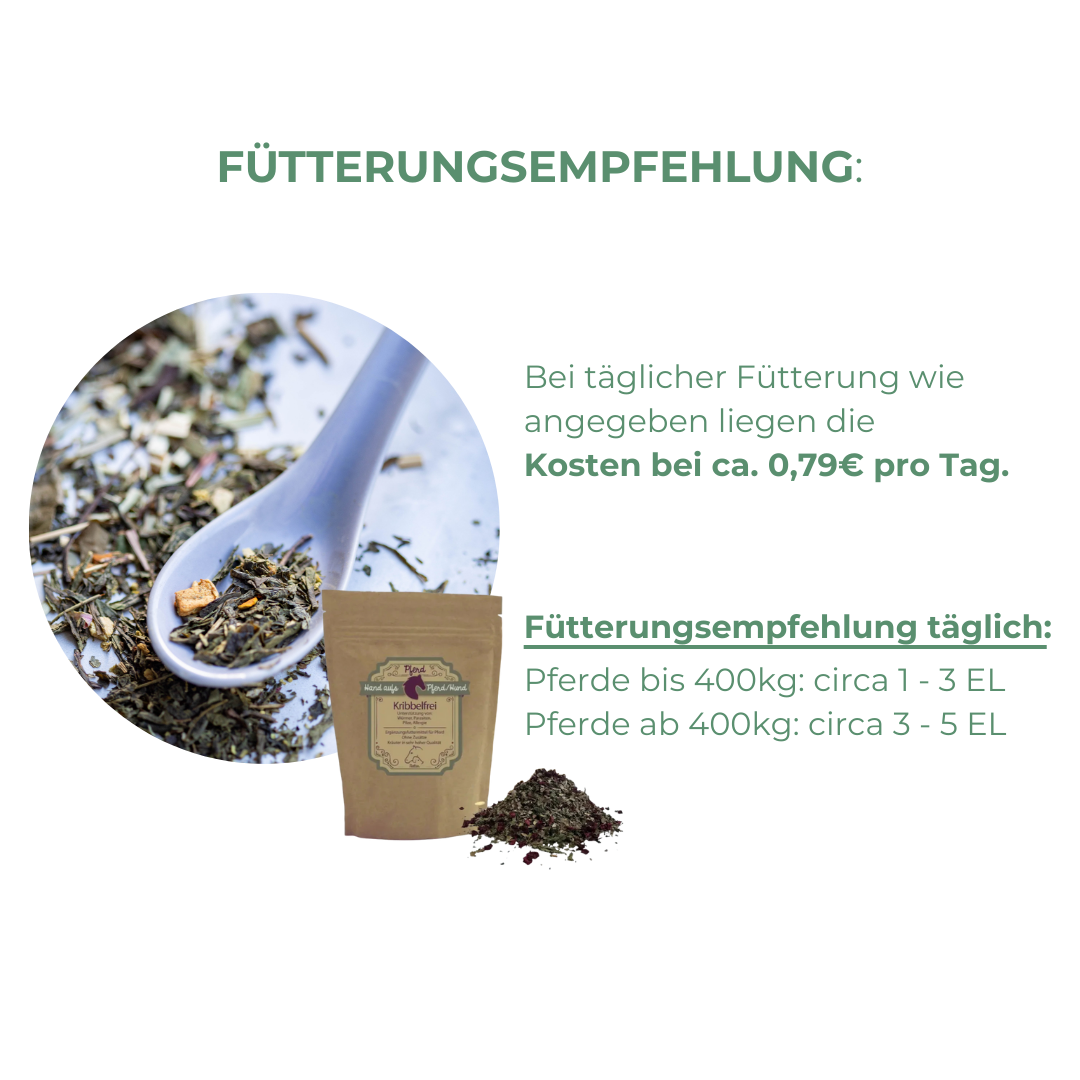 Sommerekzem und Ekzem Pferd vorbeugen