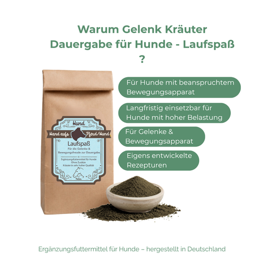 arthrose hund behandlung