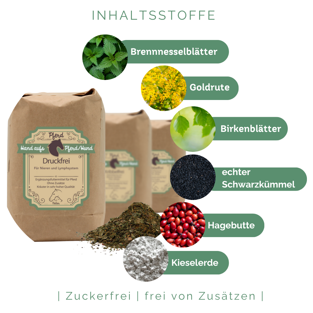 Natürliche Unterstützung der körpereigenen Nierenfunktion