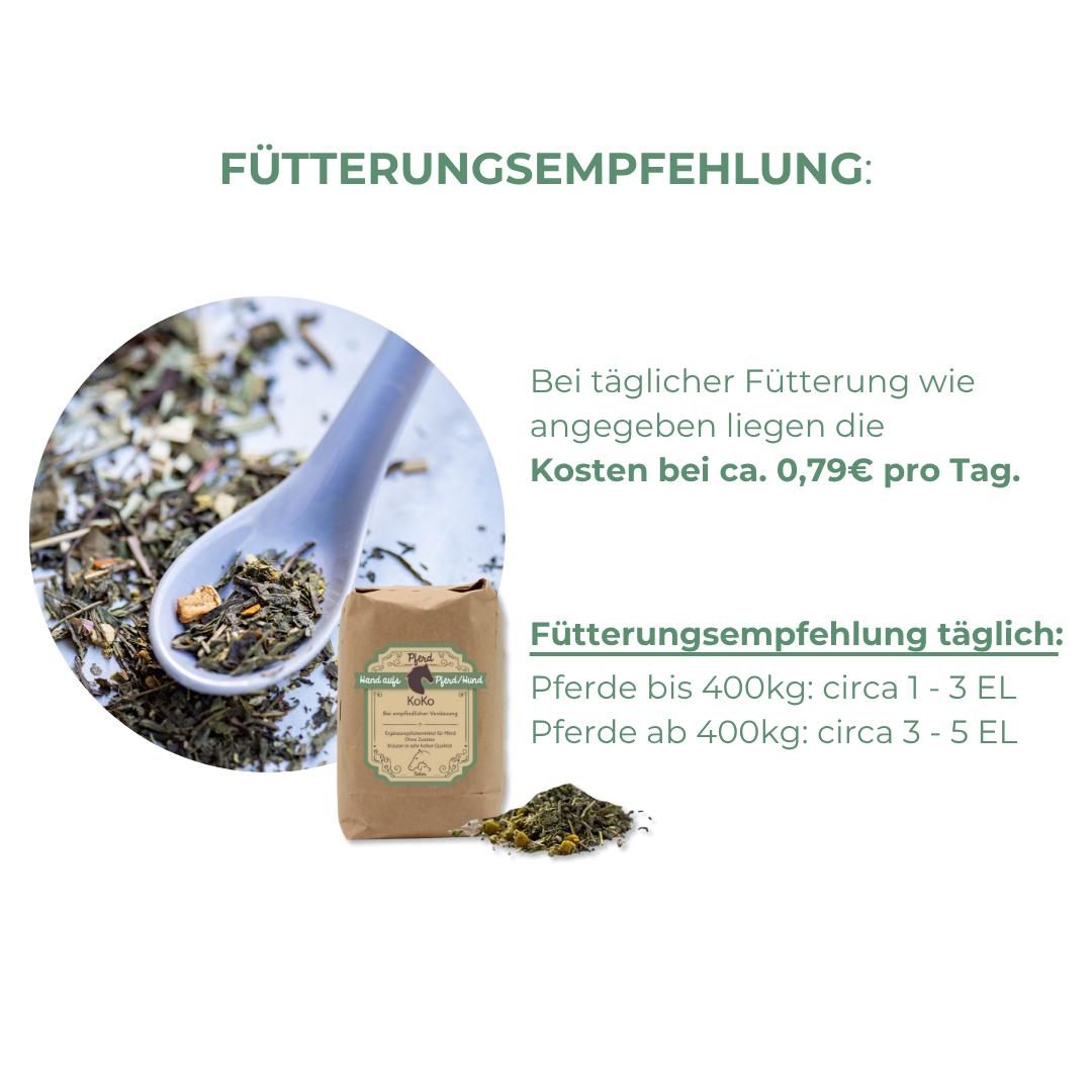 Kolik Vorbeugen beim Pferd