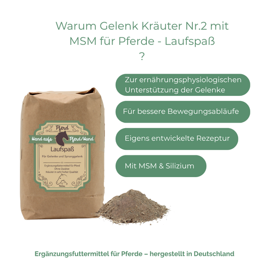 Gelenk Unterstützung Pferd MSM