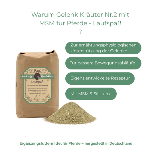 Gelenk Unterstützung Pferd MSM