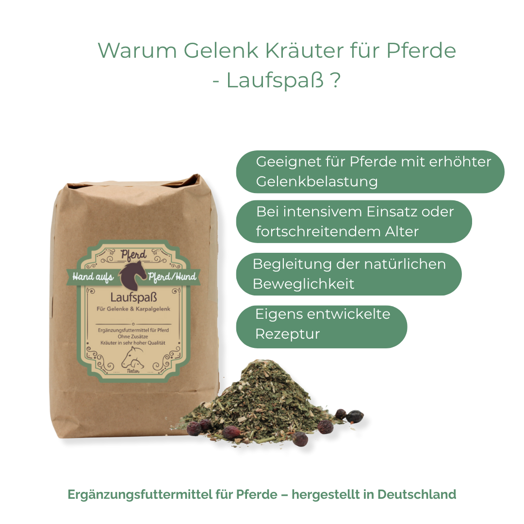Kräuter zur Begleitung der körpereigenen Gelenk Funktion und Vitalität
