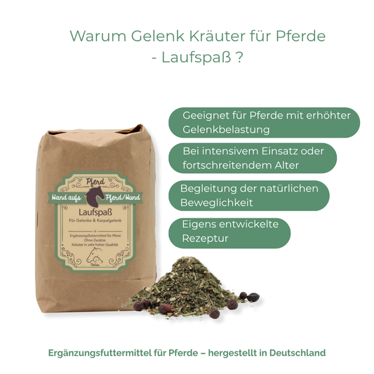 Kräuter Gelenk Funktion Pferd