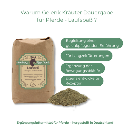 Natürliche Unterstützung für Gelenke und Beweglichkeit