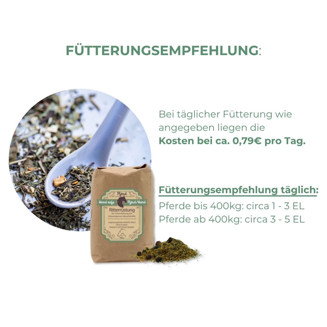 Abwehrsystem Pferd unterstützen