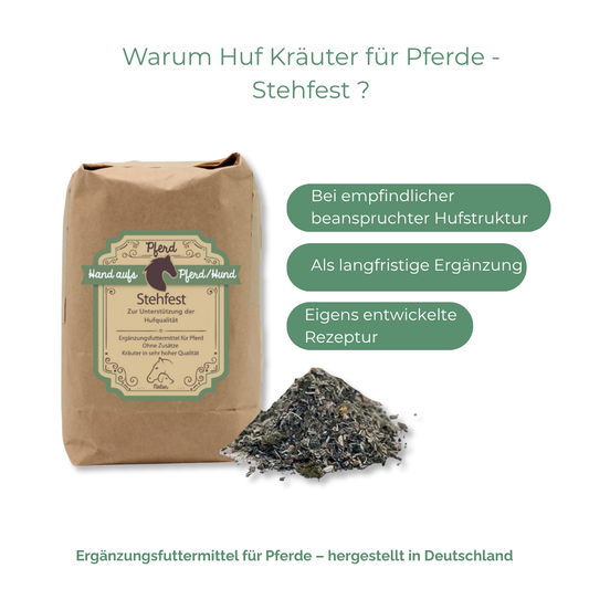 Pferde Hufe unterstützen