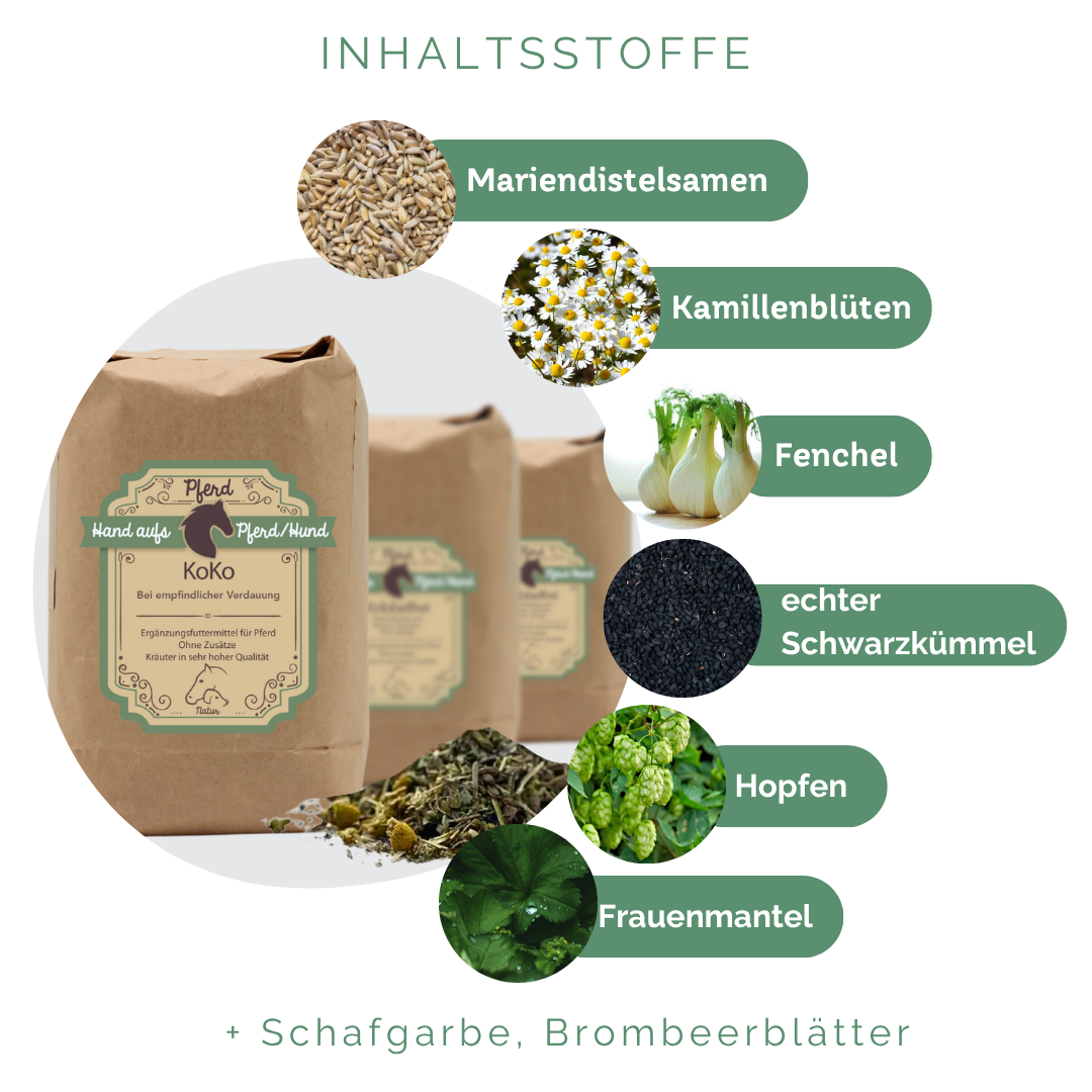 Pflanzliche Ergänzung bei Kotwasser & Kolik und empfindlicher Verdauung