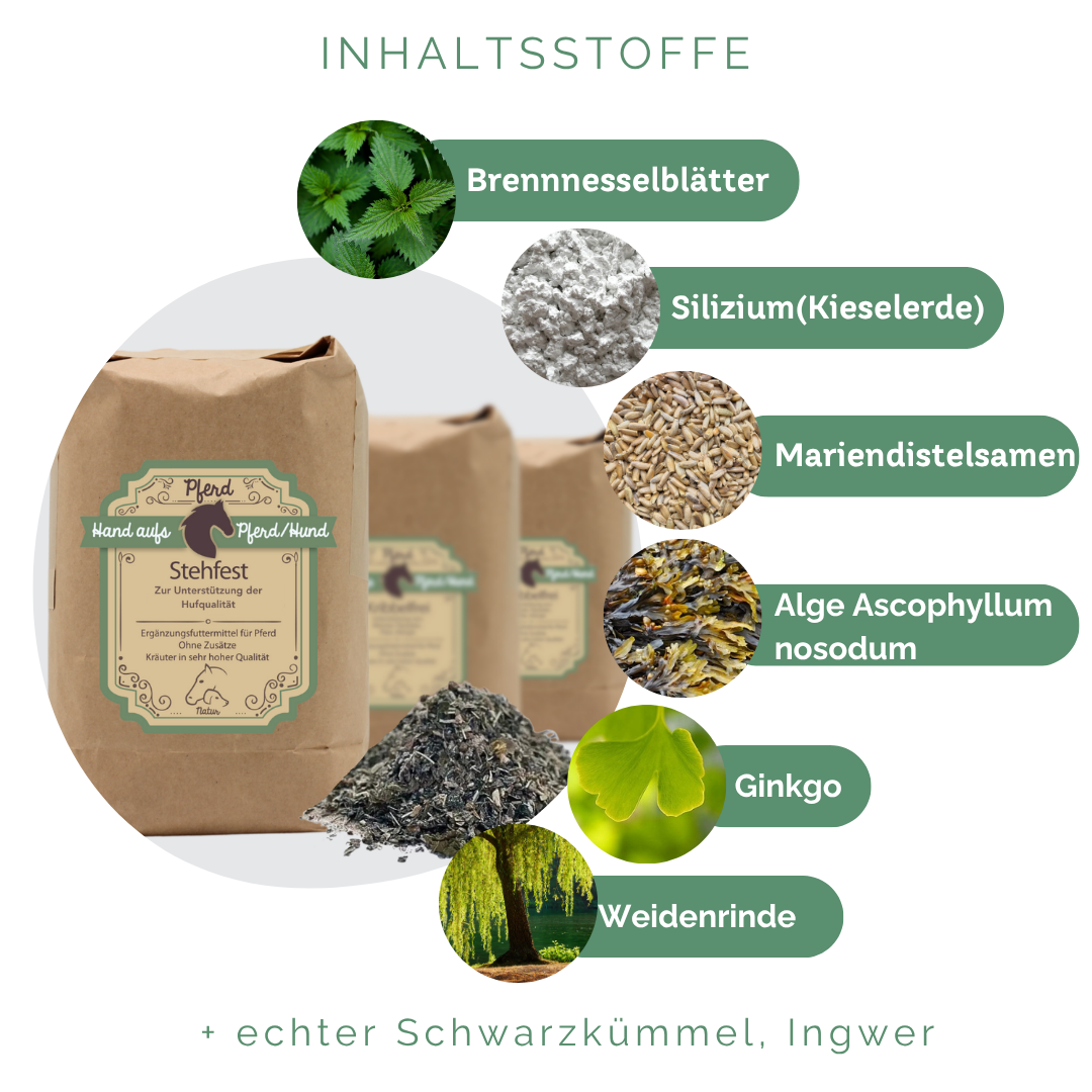 Feuchtigkeitsregulation der Hufe