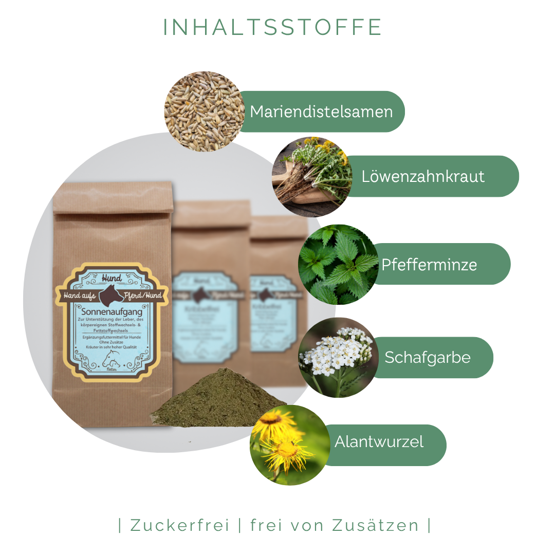 Kraeuter zur Behandlung und Vorbeugung bei Lipom & Fettknoten