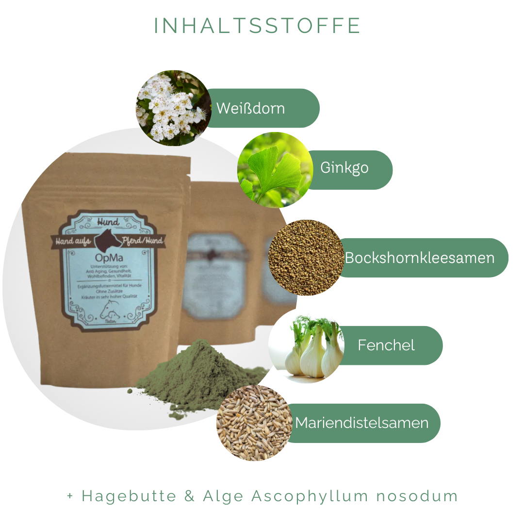 ausgewogene Rezeptur zur ernährungsphysiologischen Begleitung älterer Hunde