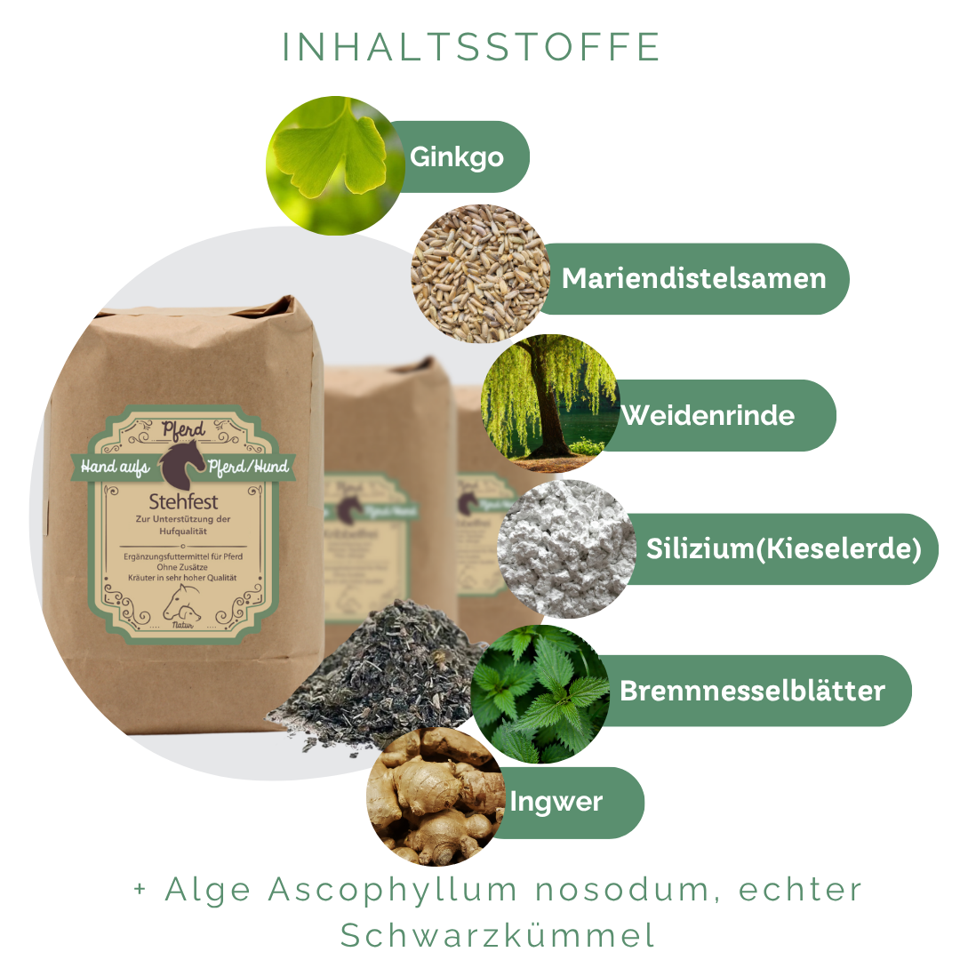 Hufqualität Und Feuchtigskeitsregulation Hufe Pferd