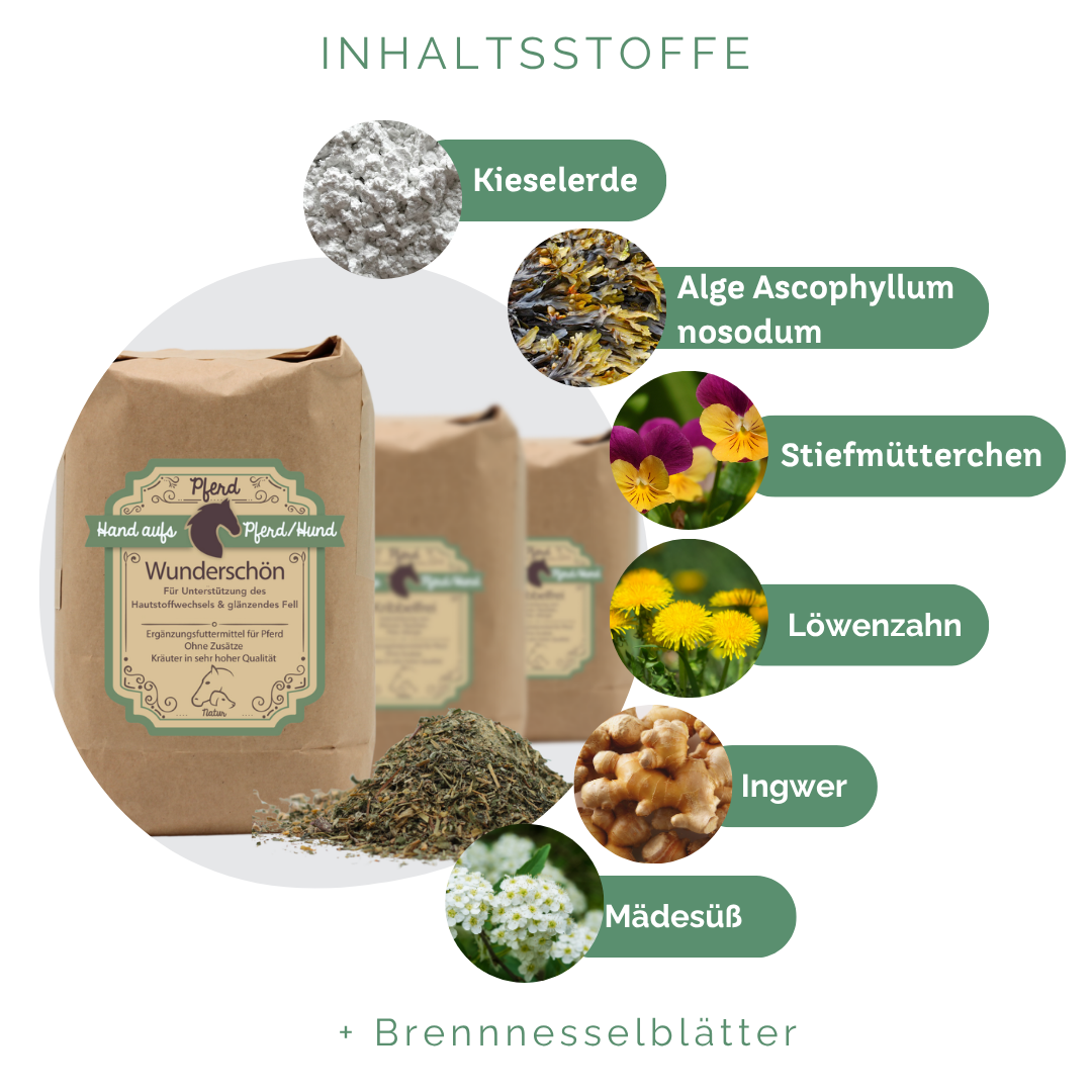 Kräuter stärken Haut und Hautqualität
