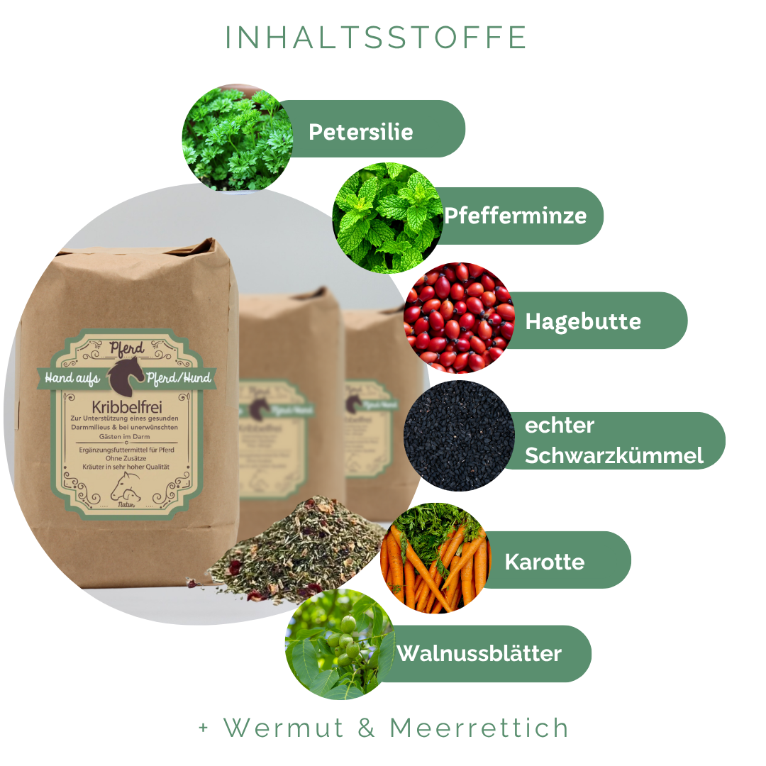Kräutermischung für Pferde zur Unterstützung der Darmflora bei Wurmbefall