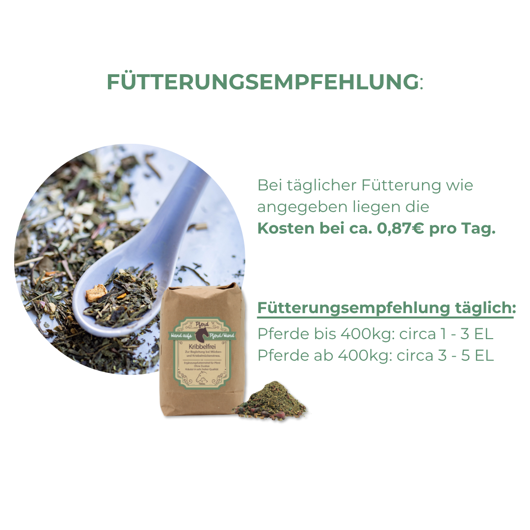 Hautstärkung gegen Mückenstiche und Juckreiz beim Pferd