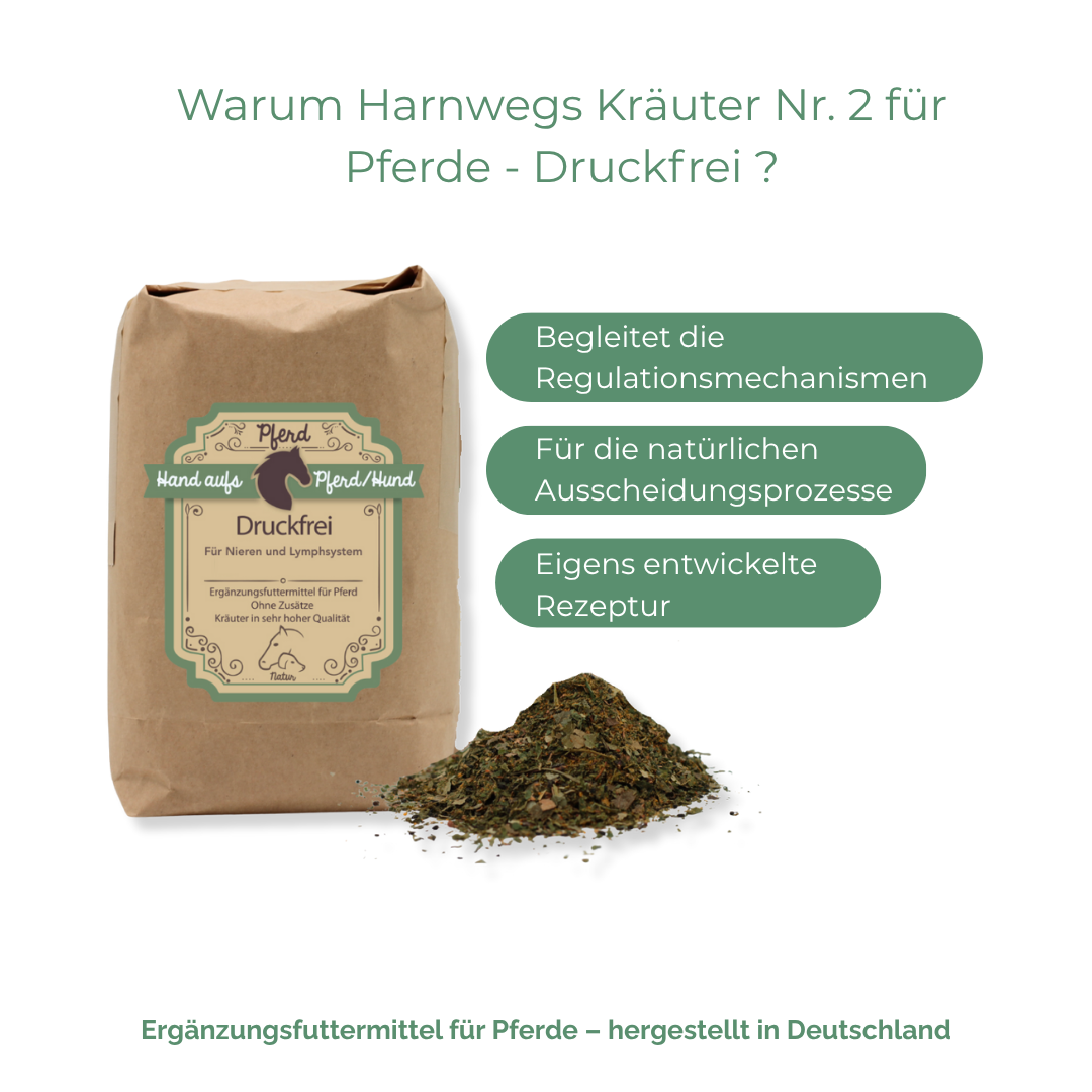 Nieren Kräuter für Pferde - Druckfrei
