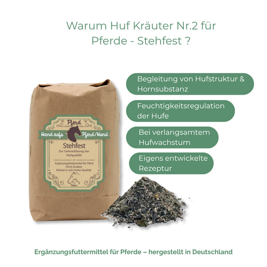 Begleitung von Hufstruktur und Hornsubstanz