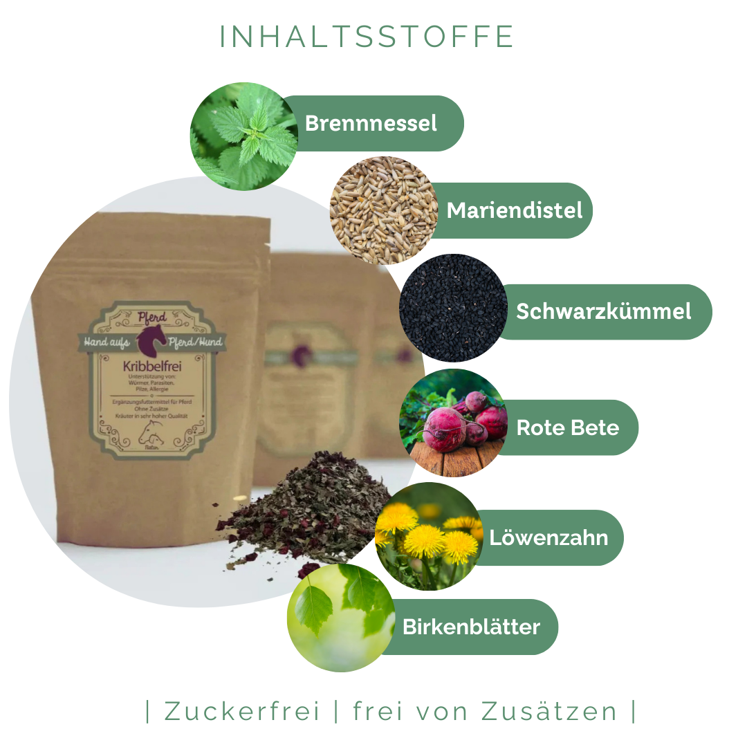 Unterstützung Bei Sommerekzem und Ekzem