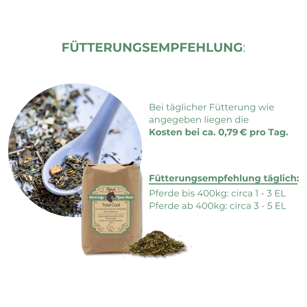 Unsicherheit beim Pferd therapieren