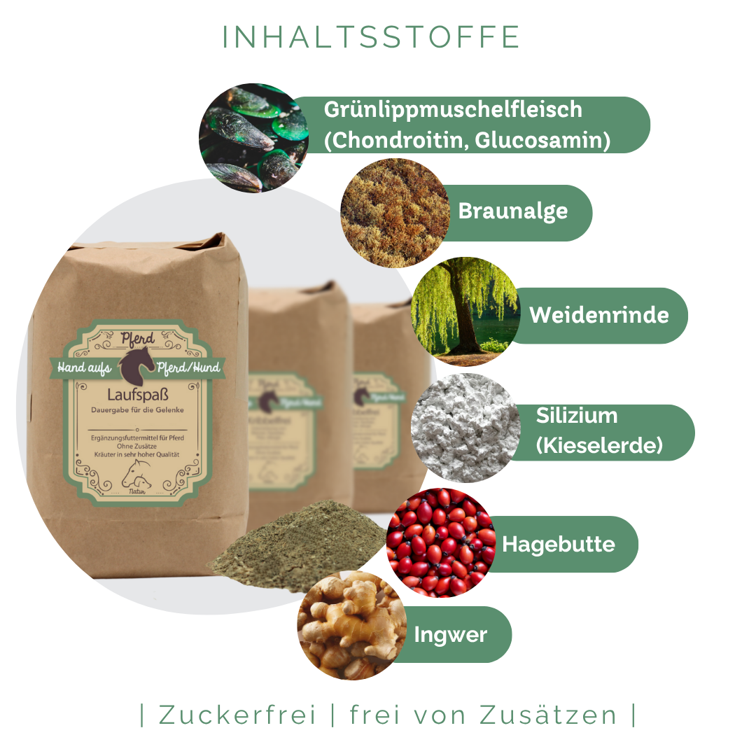 Spat Pferd Vorbeugen und Behandeln