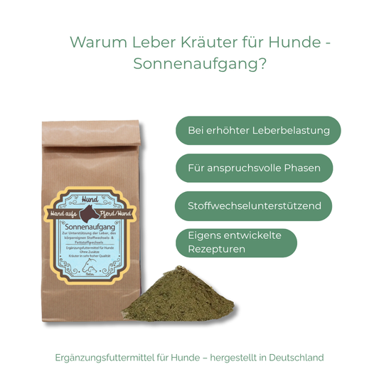 Unterstützung der Ausscheidungsprozesse & des Stoffwechsels