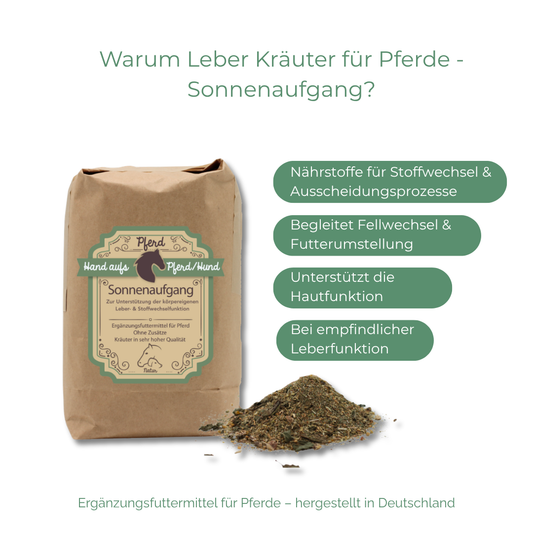 Leberkräuter für Pferde - Sonnenaufgang