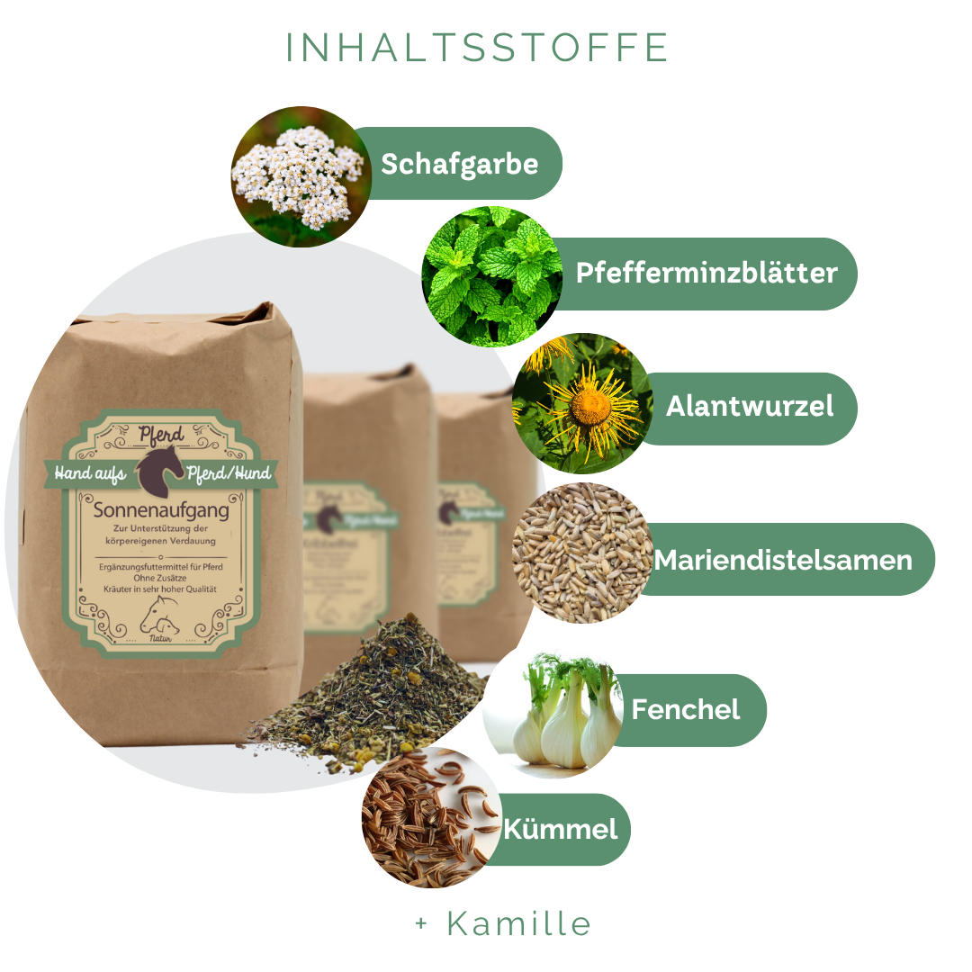 Unterstützung für eine ausgewogene Verdauung
