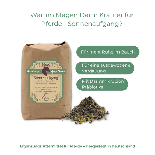 Magen Darm Kräuter für Pferde - Sonnenaufgang