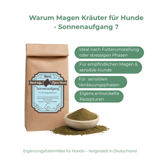 hund erbricht gelben schleim