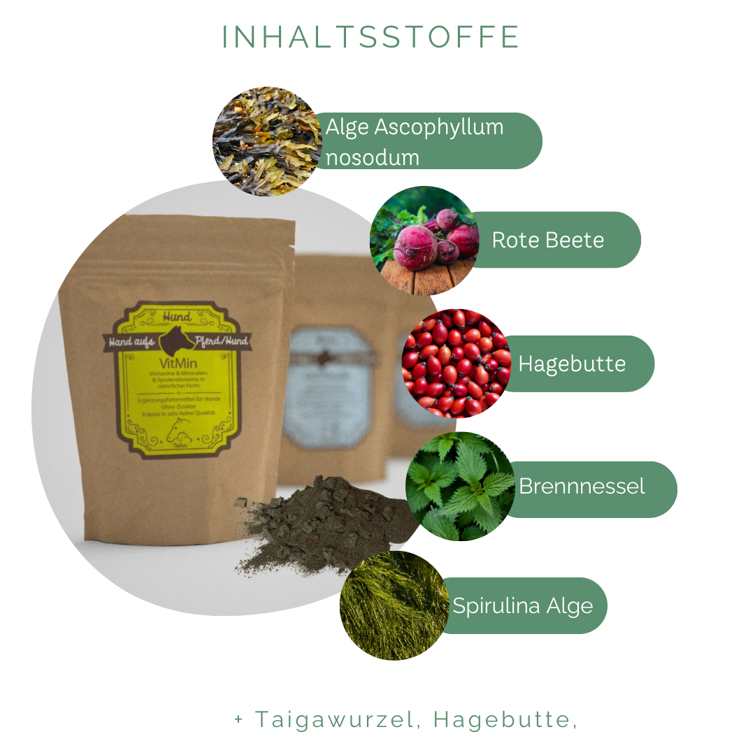Ernährungsphysiologische Unterstützung der mineralischen Versorgung