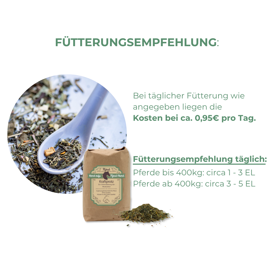Futter für Muskel Aufbau und Kraft
