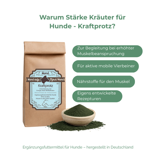 erhöhter Muskelbeanspruchung Hund
