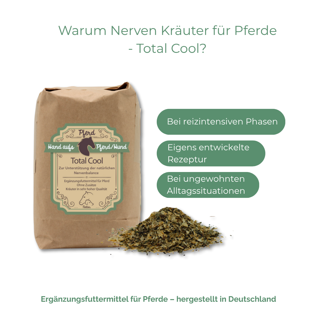 Kraeuter fuer gestresste pferde