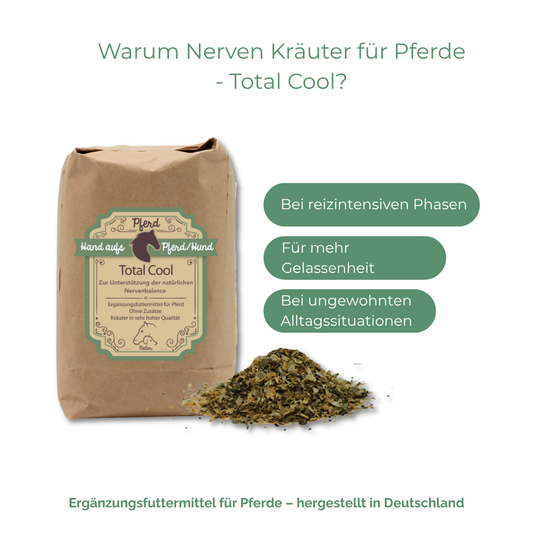 Kräuter für gestresste pferde