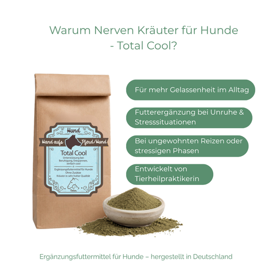 Gelassenheit Hund