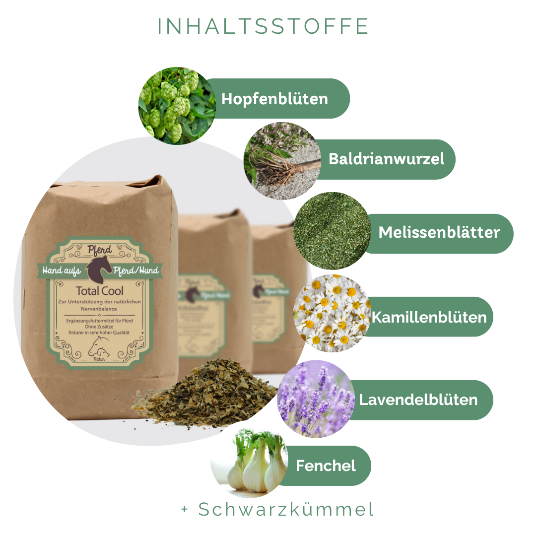 Kräuter für Gelassenheit beim Pferd