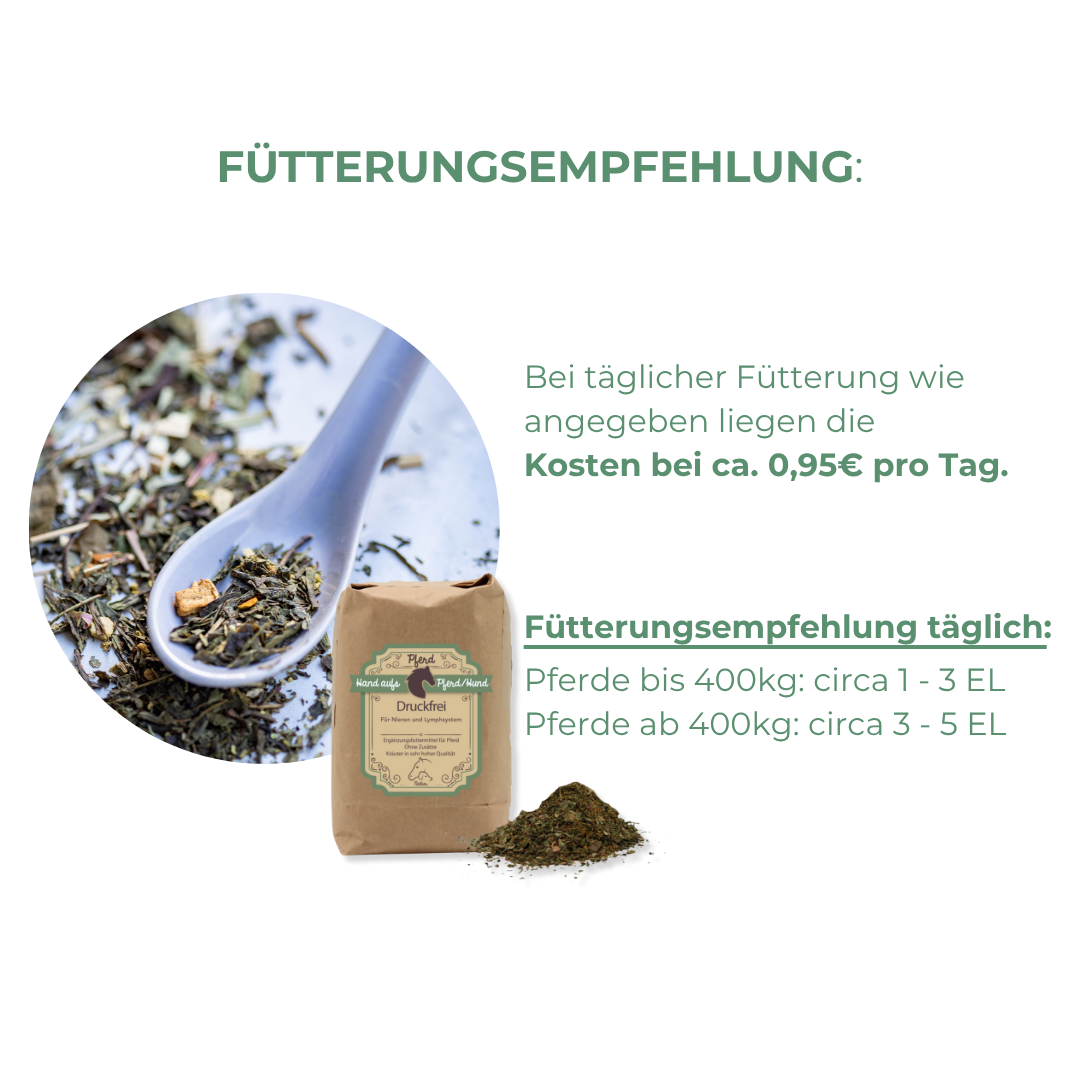 Erhöhte Nierenwerte im Blut beim Pferd was hilft