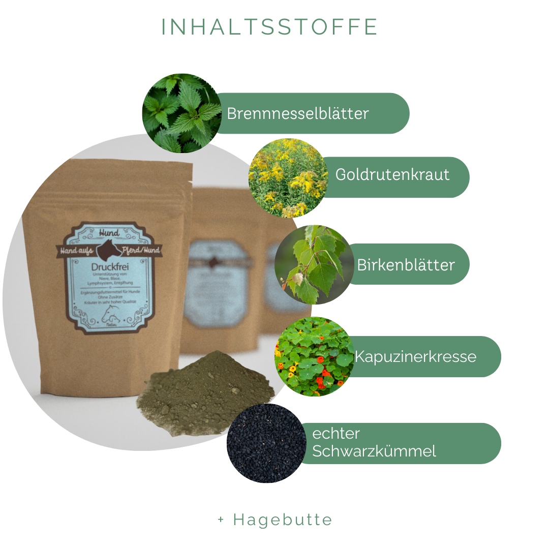 Natürliche Unterstützung für die körpereigene Nierenfunktion