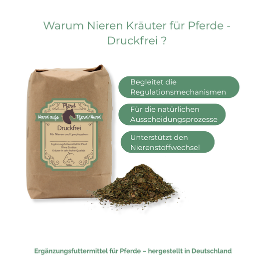Nieren Kräuter für Pferde - Druckfrei